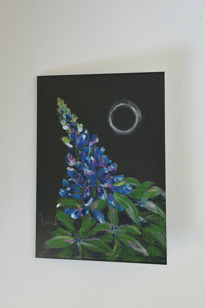 Eclipse 2024 Bluebonnet Note Cards