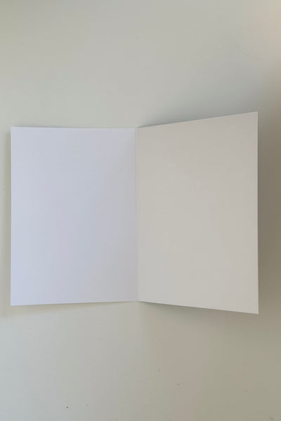 Eclipse 2024 Bluebonnet Note Cards