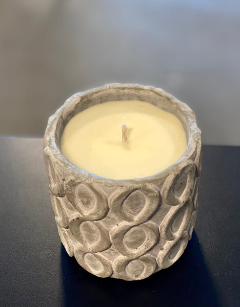 GRAY STONE CANDLE - Sugared Citrus