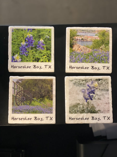 HSB Bluebonnets Stone Coaster Gift Set